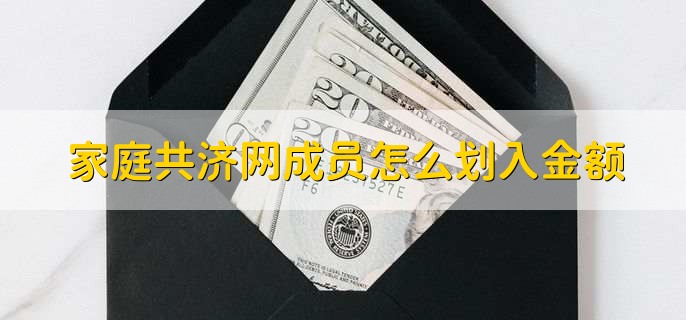 家庭共济网成员怎么划入金额,有以下3步