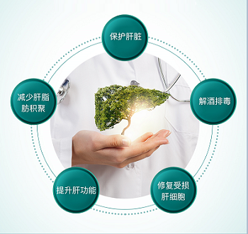 莱特维键清肝至尊的功效