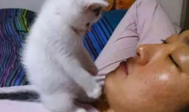 趁主人睡觉，小猫咪扒开他的嘴