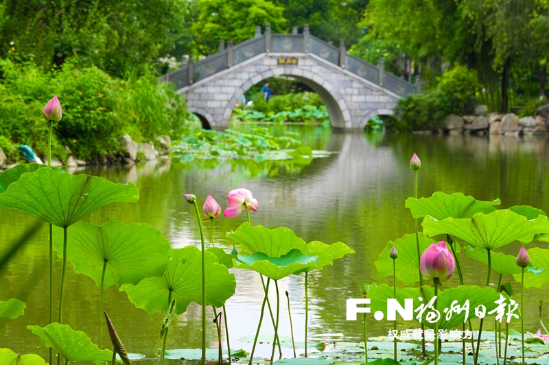 追新看点丨暑期追风攻略已上新！今年的热门是→