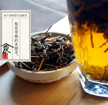 鱼腥草