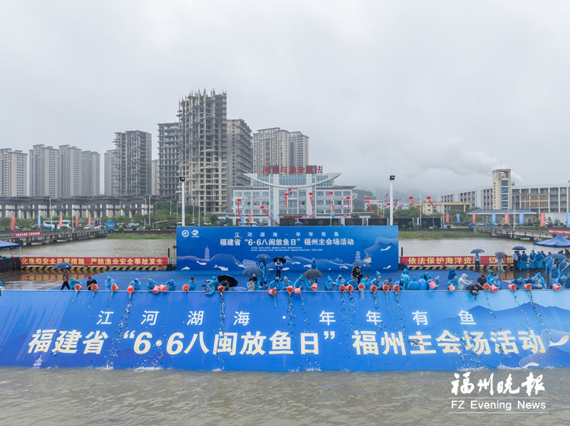 福州增殖放流百万尾鱼