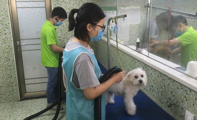 不同医院药品价格不同？如何选一家靠谱的宠物医院？专家：看口碑！
