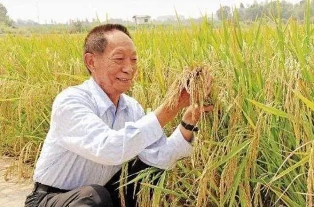 福建的她终生未嫁，却是最伟大的“母亲”