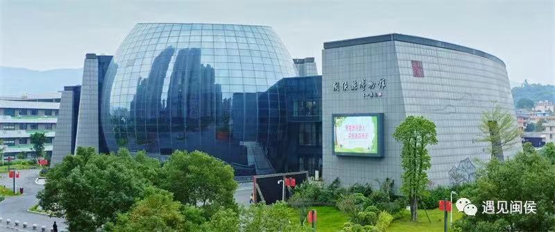 追新看点丨暑期追风攻略已上新！今年的热门是→