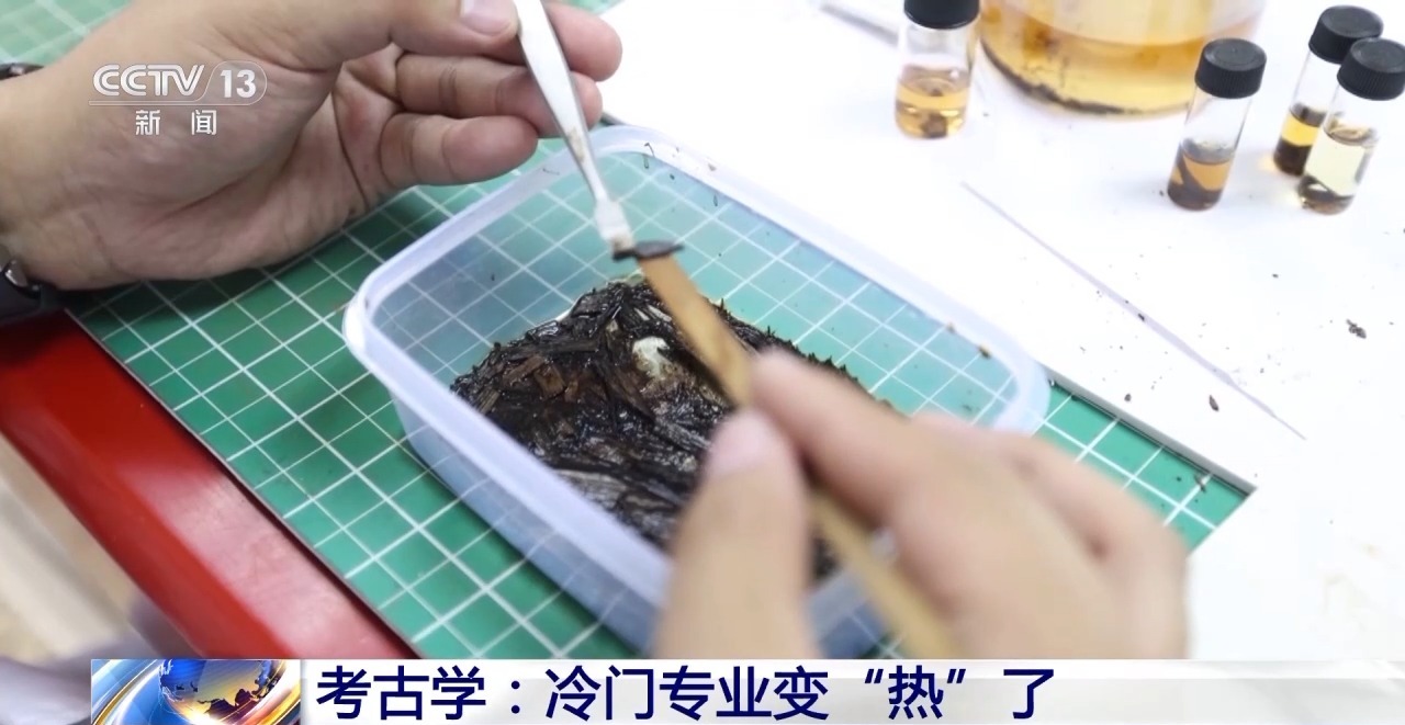 冷门专业变“热”了，快来看一下你适合考古吗