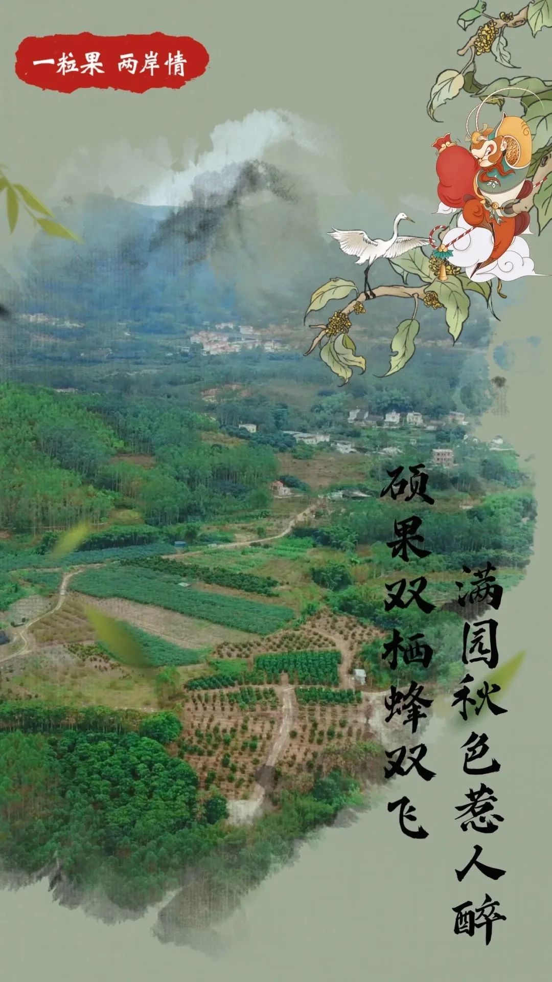 台青蔡志阳：在福建漳州种下一片“花果山”