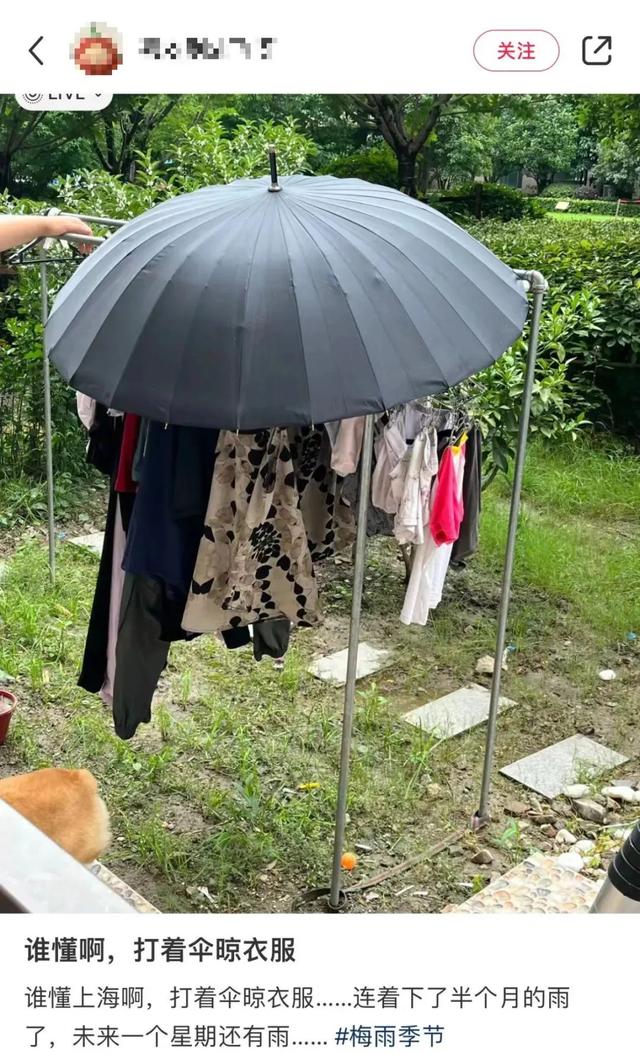 上海暴雨多位明星家中漏水 陈赫家里漏成水帘洞