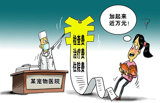看病动辄几千元，这些宠物医院为何能“任性”收费？