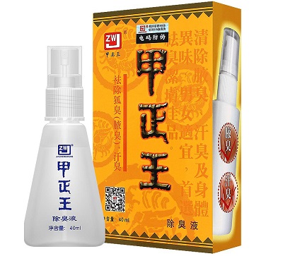 甲正王