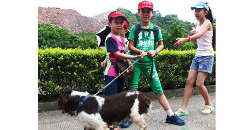 小朋友与警犬“亲密接触” 史宾格犬28秒搜爆惊呆孩子