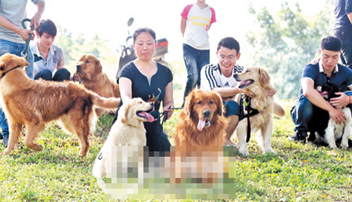 爱狗人士“群遛” 爱犬 给爱犬举行萌犬聚会