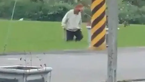 流浪幼犬误闯农田，田主持棍追打30秒