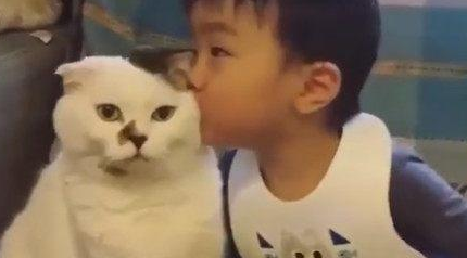 小主人亲了猫咪一口，猫咪也立马回头亲小主人，真温馨