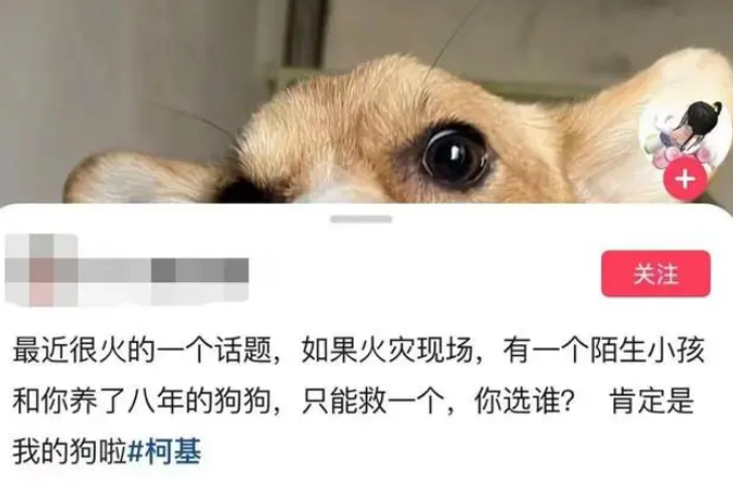 火场中救人or救狗？网友吵翻天！专家这样分析