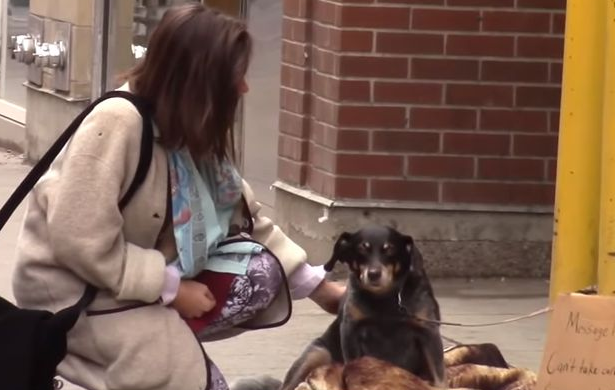 狗狗在大街上求助，来往的路人视而不见，流浪汉让狗狗感到了温暖