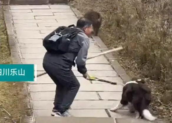 男子峨眉山上直播牵狗挑衅猴子，刺激狗和猴子发起冲突，景区回应