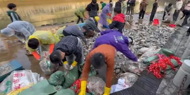 又是羡慕别人学校的一天！大学办捞鱼活动 食堂做完师生免费吃