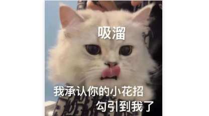 “猫咪对人类有多无语...”哈哈哈哈哈哈别烦喵桑了！