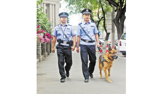 威武的德国牧羊犬“敬业的”跟着巡警出街巡逻