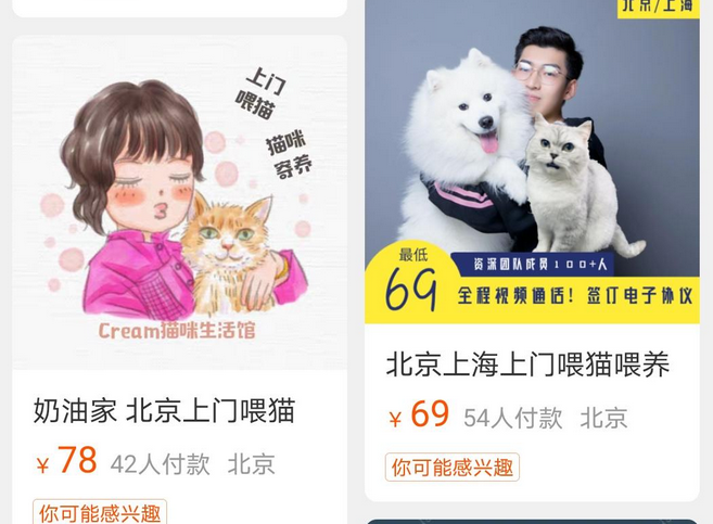 假日经济催生新业态 宠物代喂可上门服务