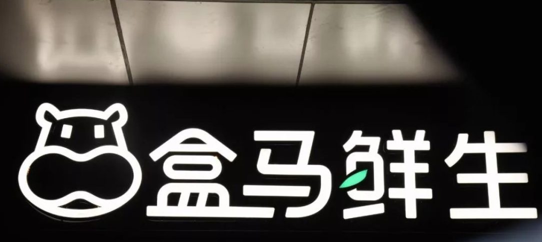 宠物经济不断升温，浦东7家盒马门店首批上线“宠物服务”