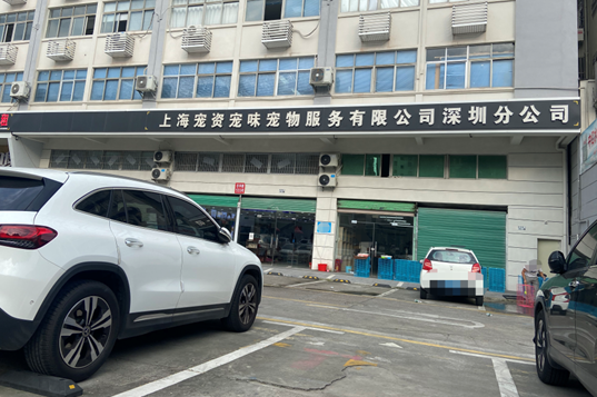 宠物狗买回家一周就病死？深圳这家宠物店被立案调查