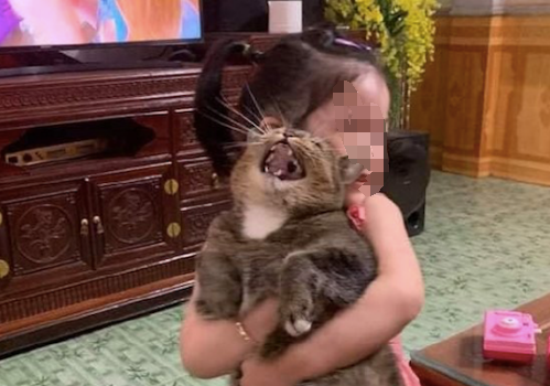 女儿抱着猫来回走，它的表情让人好想笑：铲屎的，救命！虐猫啦