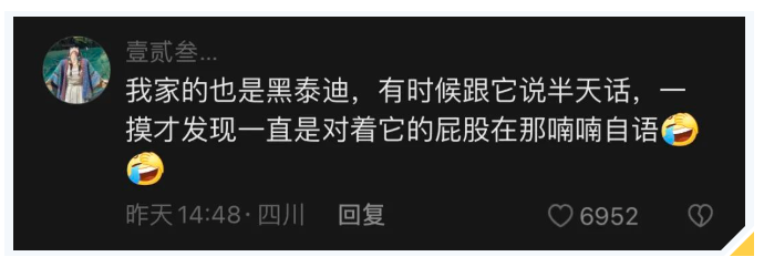 泰迪因为长得太黑经常找不到，于是主人给狗子贴了两只眼睛...