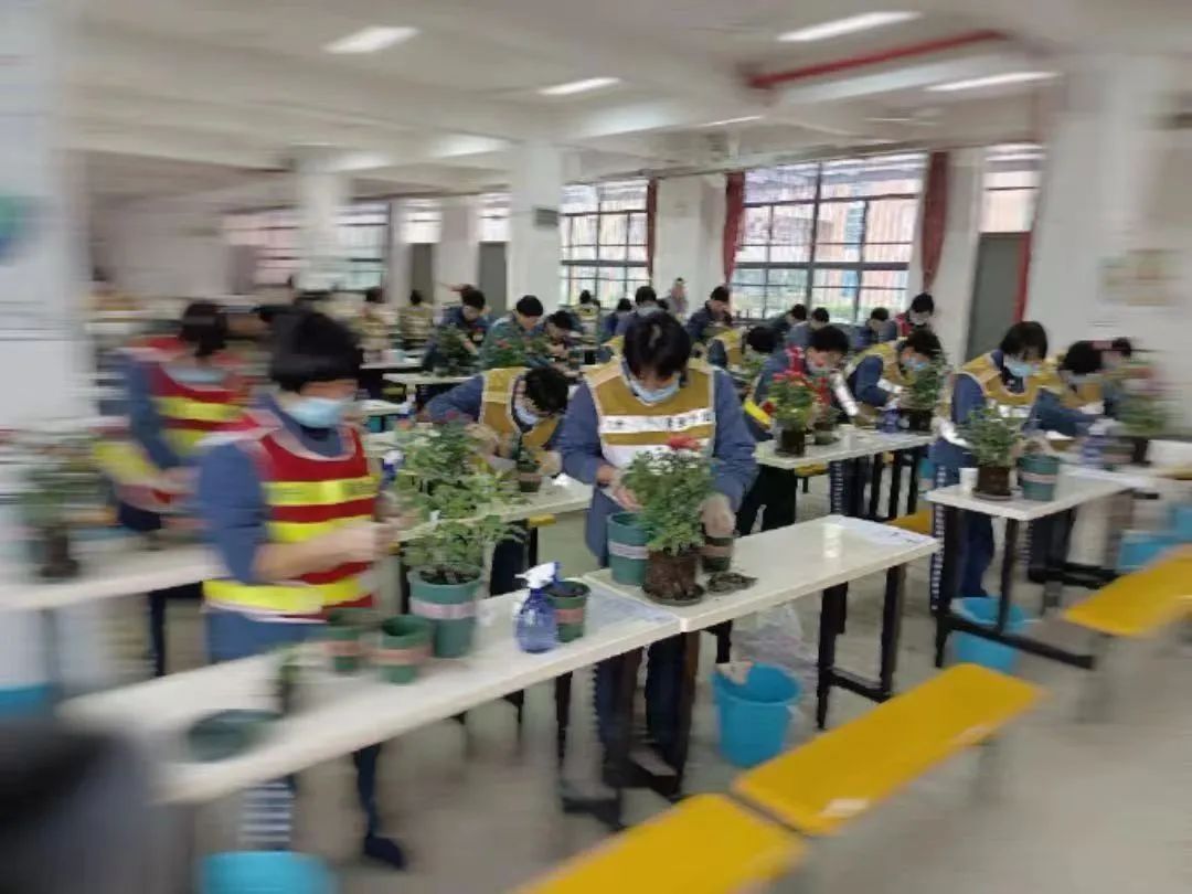 出狱后她持证上岗 开启“花样年华”