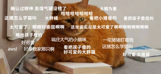 橘猫：我准备减肥了！网友：谁又放屁呢？！