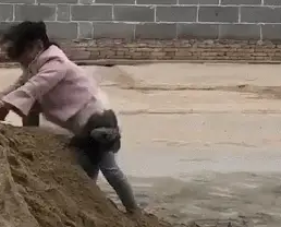 买菜回家，家里的孩子和泰迪都没了