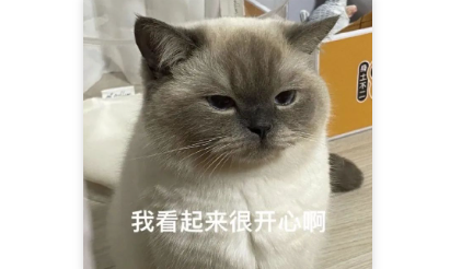 “猫咪对人类有多无语...”哈哈哈哈哈哈别烦喵桑了！