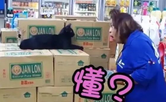 猫咪乱抓纸箱，店员忍不住和它碎碎念，猫咪一脸疑惑：你在说啥