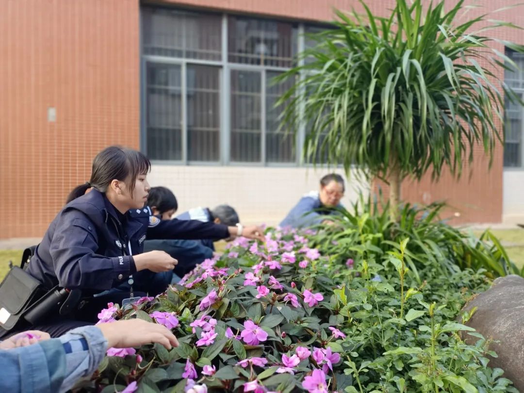 出狱后她持证上岗 开启“花样年华”