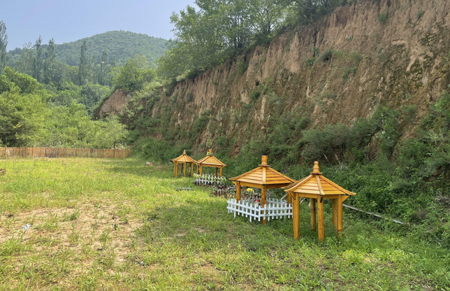 揭秘宠物墓地：不火化直接埋、墓地无资质、价格直逼房价