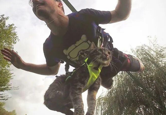 猫咪被领养后猫生开挂，跟主人一起上天下海还滑雪攀岩