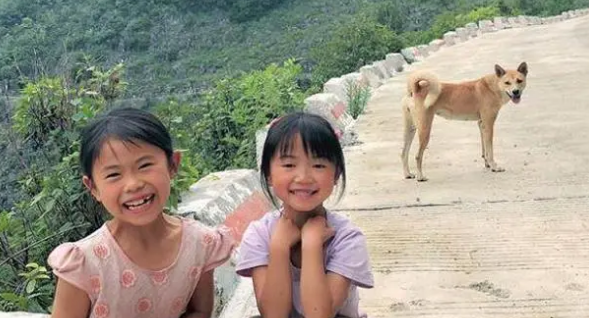 大黄狗每天都守在校门口不肯离开，老师上前一看热泪盈眶