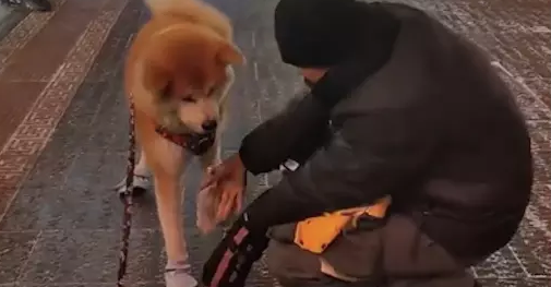 狗狗趴在地上不愿走，主人给它脱了衣服鞋子立马起身，是怕冷吗