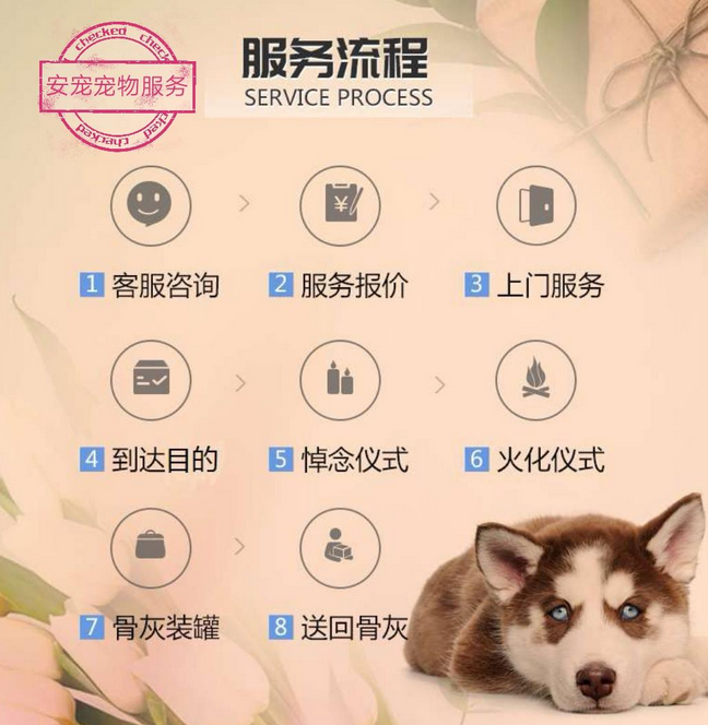 宠物火化殡葬服务分析