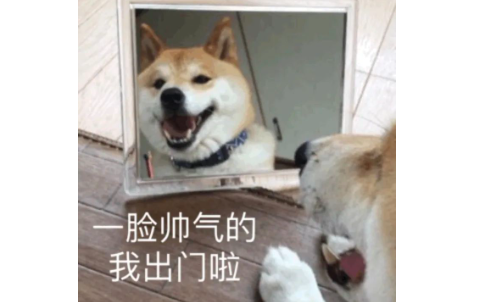 狗子跟朋友出去玩，被主人碰见却假装不认识，回家后光速滑跪：刚才外面狗多
