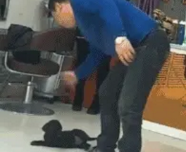 男子醉酒后掐着奶狗脖子摔打3次，狗狗被吓得大便失禁，瑟瑟发抖 