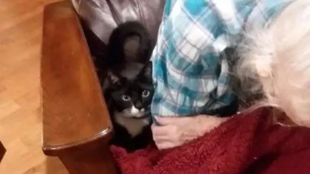 带爱猫看望重病住院的奶奶，猫咪做出的反应令人泪如泉涌