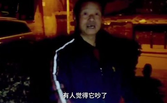 担心白天喂流浪狗吵到住户，老大爷每天深夜喂狗，一干就是4年