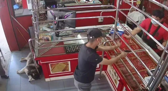 一金店假装被打劫，店主的哈士奇在门口睡得特香，对劫匪毫无反应