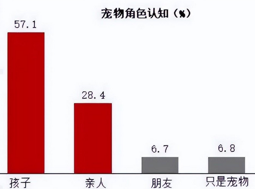 低成本易操作项目-年入百万的宠物殡葬行业