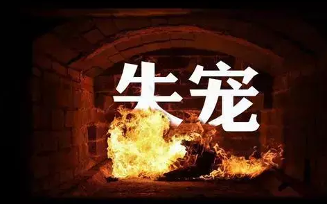 宠物殡葬那些事：我们该如何与TA告别？
