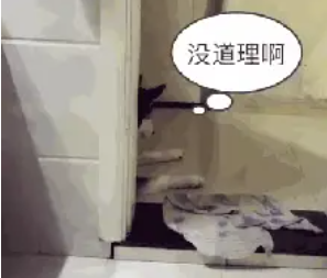 哈士奇偷窥主人上厕所，被发现之后那表情太逗了…… 