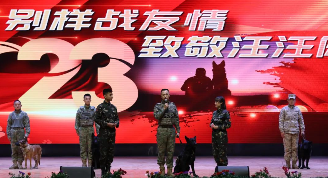 雪枫旅三级功勋军犬，光荣退役
