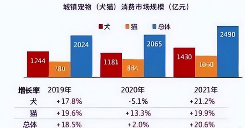 低成本易操作项目-年入百万的宠物殡葬行业